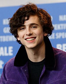Timothée Chalamet Call Me By Your Name Press Conference Berlinale 2017 (cropped)