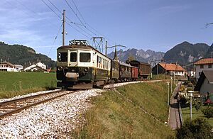 Trains des G.F.M. ligne Bulle-Broc (Suisse) (4934297910)