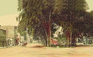 ViewOfWestParkStamford1906