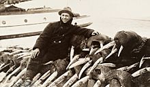 Walrus hunter 1911