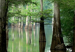 White River, Arkansas