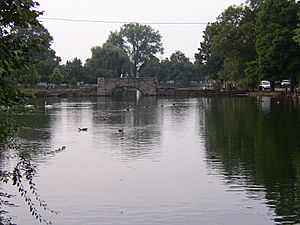 Yoctangee Park Lake Bridge