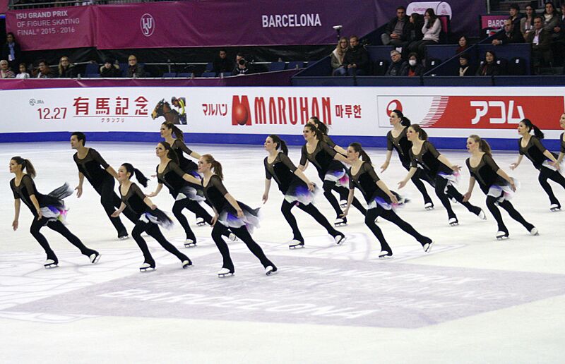 2015 Grand Prix of Figure Skating Final Team Nexxice IMG 9184