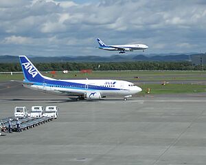 ANA aircraft at Sapporo airport