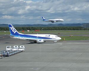 ANA aircraft at Sapporo airport