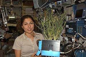Anousheh Ansari in the ISS