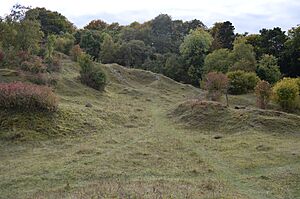 Aston Clinton Ragpits 8