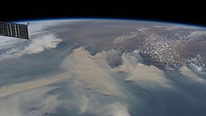 Australian bushfires as viewed from the ISS