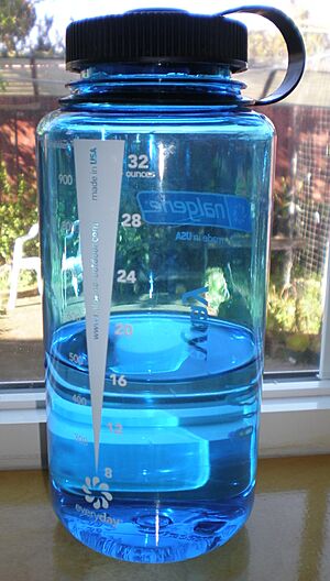 Blue 1000 ml Nalgene everyday wide mouth bottle 1