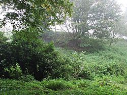 Bolebec Castle mound - geograph.org.uk - 261792.jpg