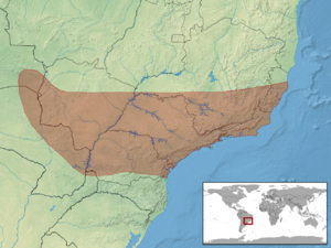 Bothrops jararacussu distribution.png