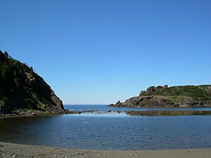 Bottlecove 2006