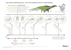 Brontosaurus infographic