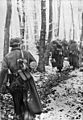 Bundesarchiv Bild 183-J28510, Ardennenoffensive, deutsche Infanterie geht im Wald vor.