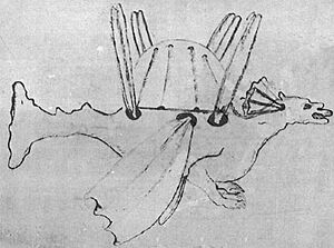 Burattini Dragon