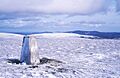 Carn Mor summit - geograph.org.uk - 18739