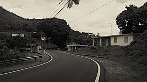 Puerto Rico Highway 821 in Abras