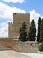 Castillo de Enrique II. Vista de la Torre del Homenaje desde la muralla (este)