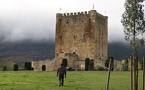 Castillo de los Velasco de Lezana de Mena