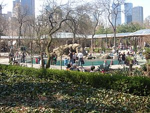 Central Park Zoo area.jpg