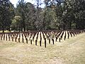 Central State Hospital Cemeteries