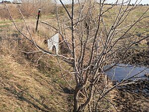 Crossing on 522 Av N of 868 Rd - W side