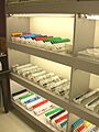 Culture in vitro