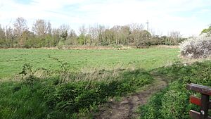 Derwent Floodwash 1