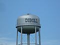 DibollTexasTower