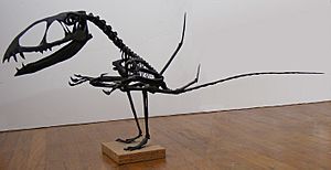 Dimorphodon model 72