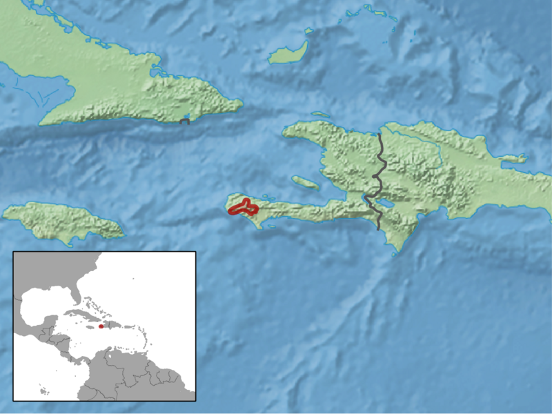 Eleutherodactylus glandulifer distribution