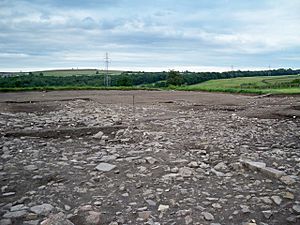 Excavations at Binchester - geograph.org.uk - 1396679