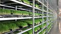 Fodder Solutions