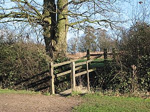 Footbridge into the recreation ground - geograph.org.uk - 667073
