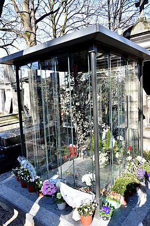 France Gall graf cimetière de Montmartre 24-02-2019 14-23-38