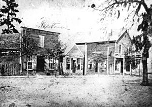 Gainesville1880s