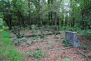 Gospel Pilgrim Cemetery, Morton Family Plot, photographer facing south