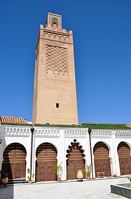 Grande mosquée et dépendance Minaret de la Mosquée 014