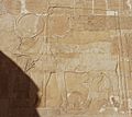 Hatshepsut temple5
