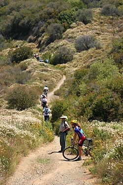 Hikers on the Backbone Trail.jpg