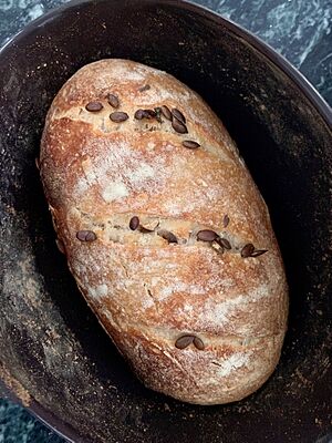Homemade Sourdough 2020