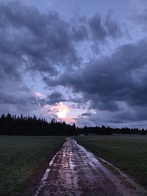 Image of Trail in Fish Lake National Forest