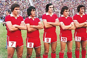 Independiente 1975.jpg