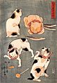 Kuniyoshi Utagawa, For cats in different poses