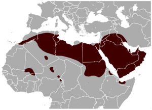 Lesser Egyptian Jerboa Jaculus jaculus distribution map 2.png