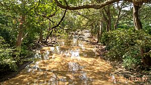 Menik River, Katharagama, Sri Lanka