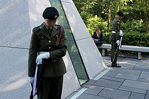Military Guard Ceremony, Merrion Square 31 August (9635286009)
