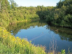 Mineral River upstream