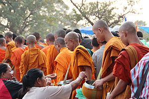 Monks collecting alms - Bun Vat Phu
