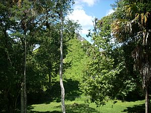 Mundo Perdido pyramid 5C-54, east face, Tikal